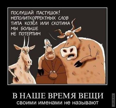 Прикрепленное изображение: 10411857_707290879339493_2460641545545026143_n.jpg